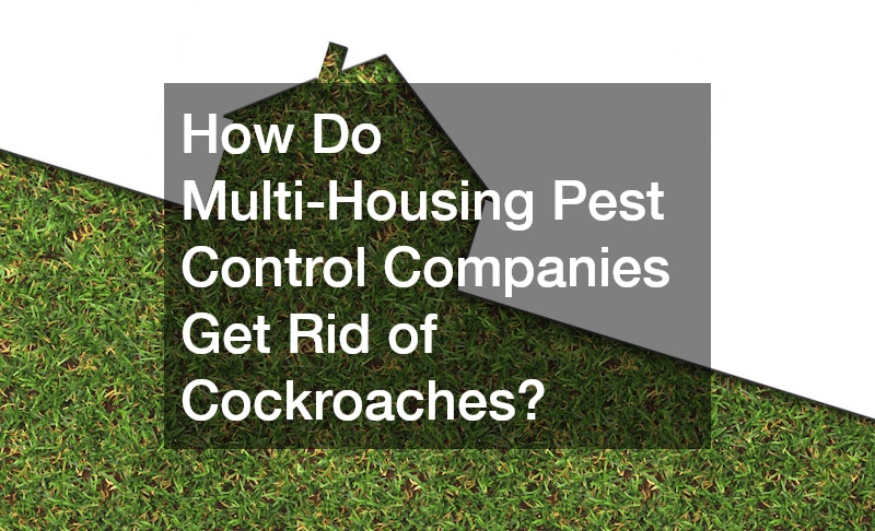 How Do Multi-Housing Pest Control Companies Get Rid of Cockroaches?